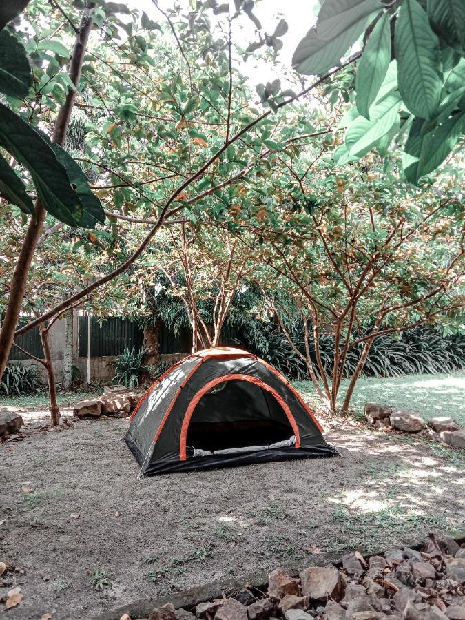 Brussels Homestay Balige Luaran gambar