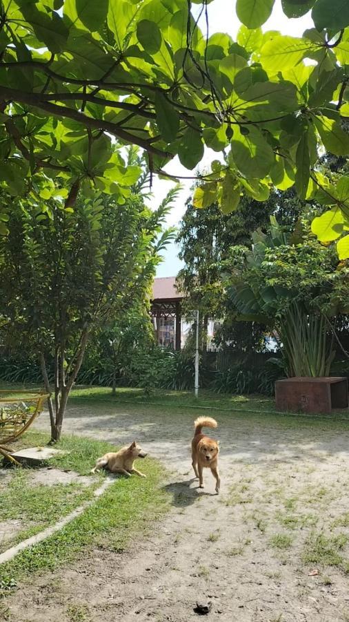 Brussels Homestay Balige Luaran gambar